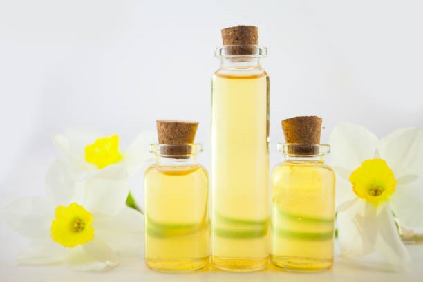 Canadian canola oil exporters