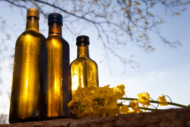 Canadian canola oil exporters