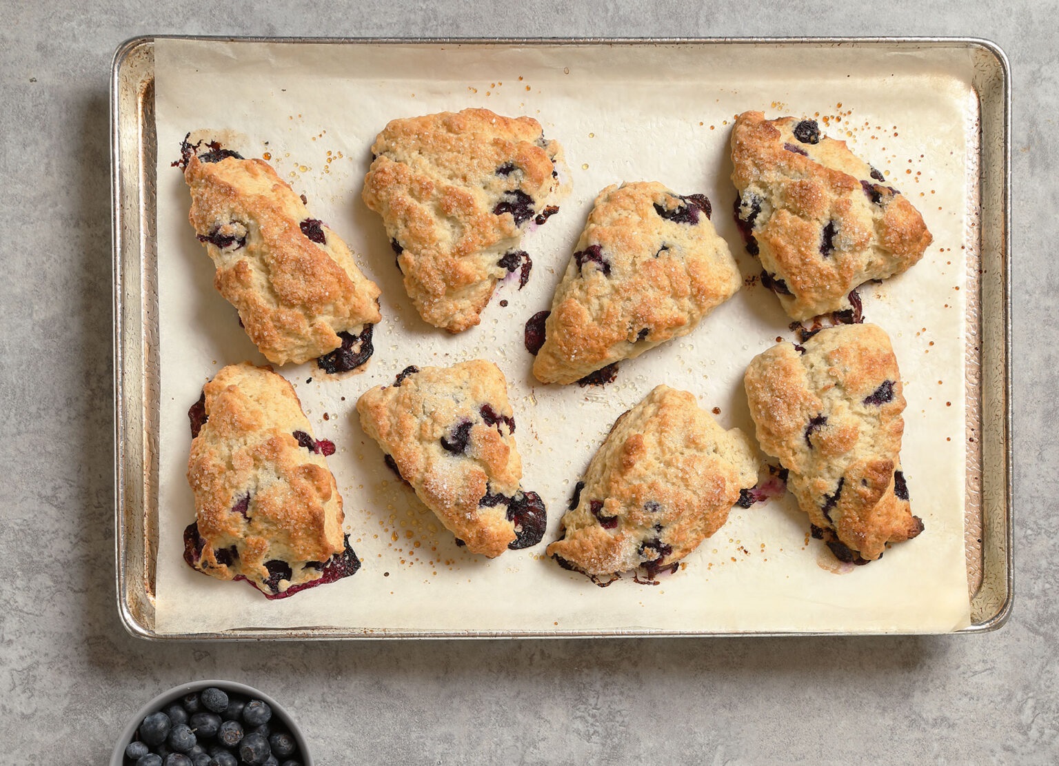 Canola Oil Companies in Canada