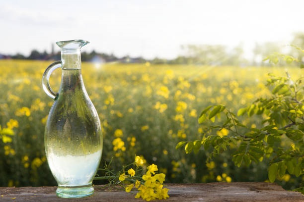 Canola Oil Producers in Canada