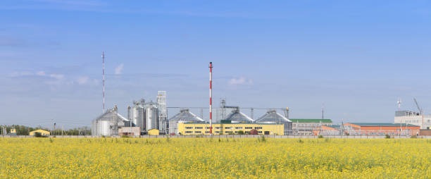 Canola Oil Suppliers in Canada