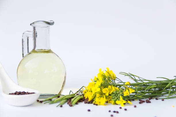 Canola Oil Wholesalers in Canada