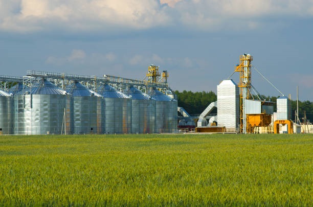 Canola oil distributors in Canada